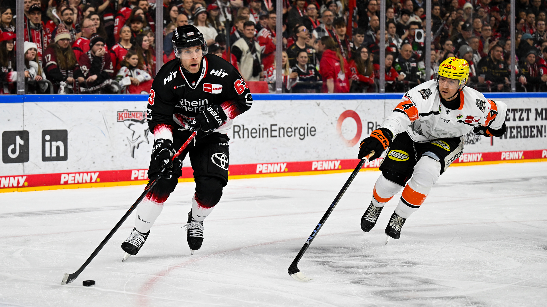 Kölner Haie gg. Löwen Frankfurt